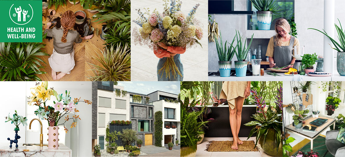Growth Platform Health & Wellbeing
