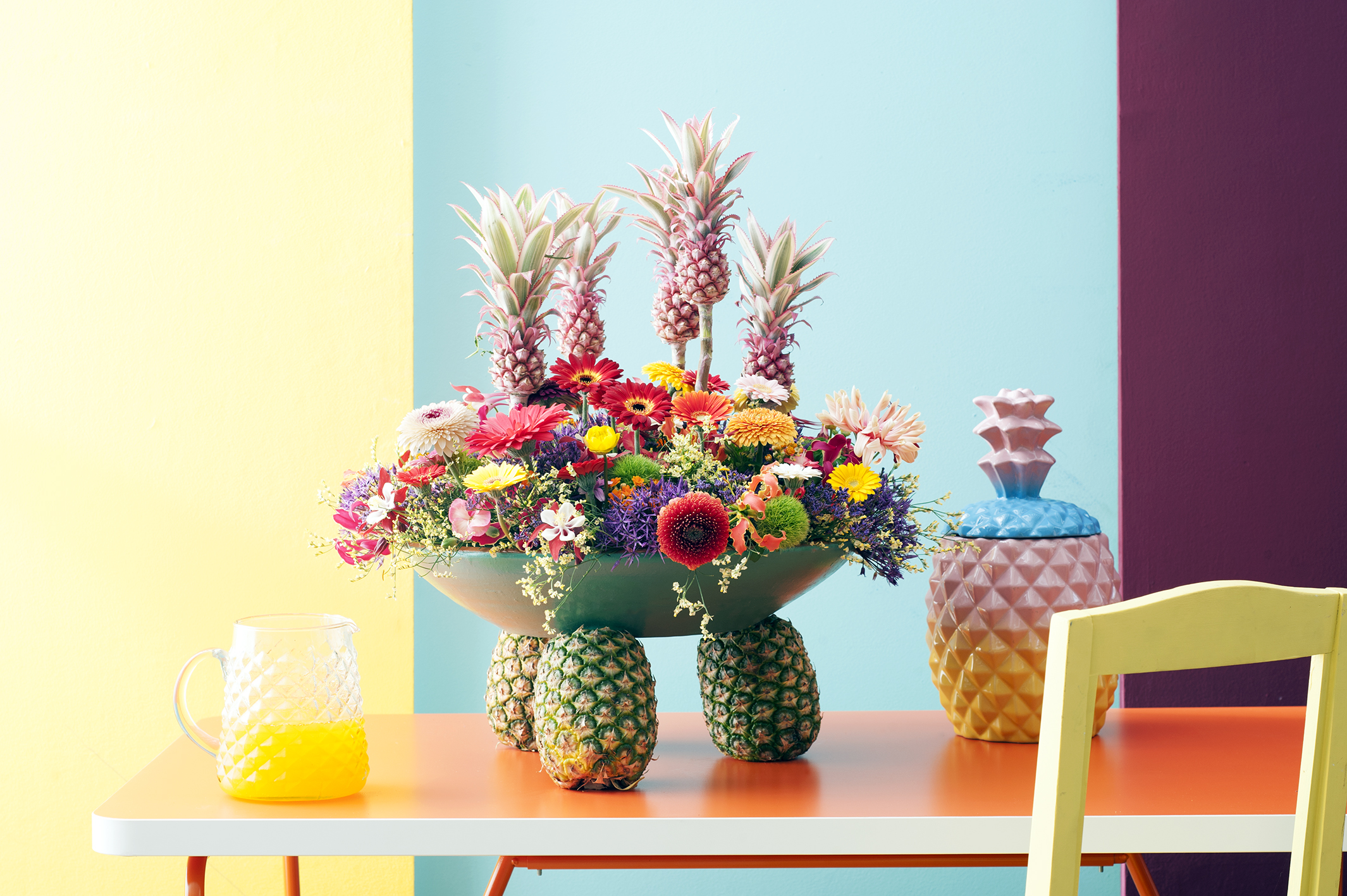 gerbera_2017-02 gerbera_2017-02
