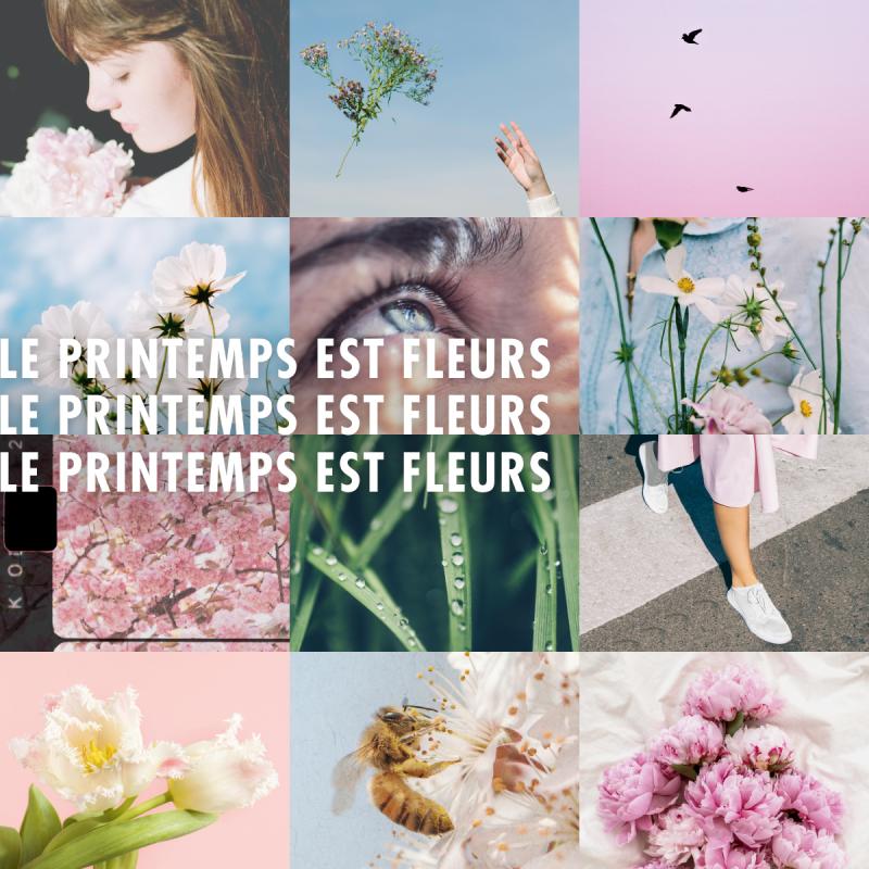 Le printemps est fleurs Le printemps est fleurs