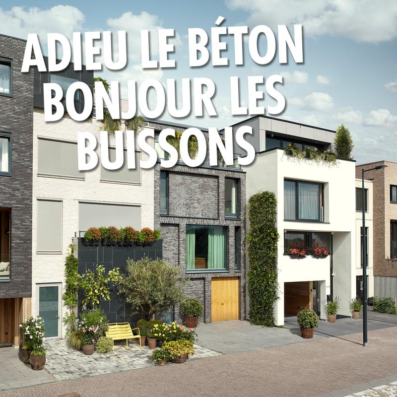 Du Gris au Vert - Adieu le béton, bonjour les buissons Du Gris au Vert - Adieu le béton, bonjour les buissons