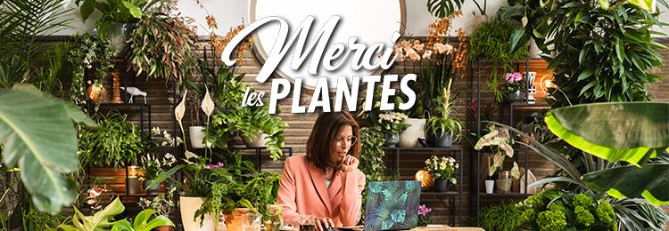 Merci-les-Plantes_750x260 Merci-les-Plantes_750x260