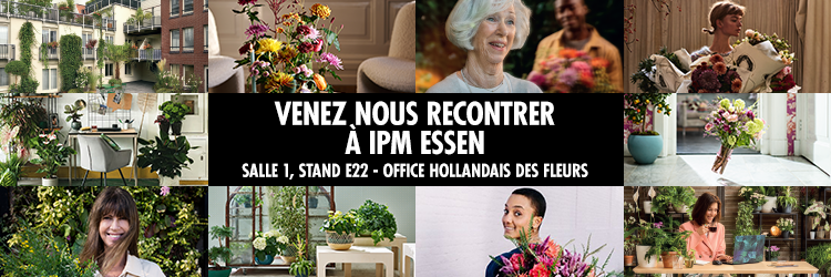 Venez rencontrer l’Office Hollandais des Fleurs Venez rencontrer l’Office Hollandais des Fleurs