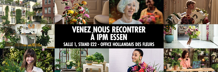 Venez rencontrer l’Office Hollandais des Fleurs 