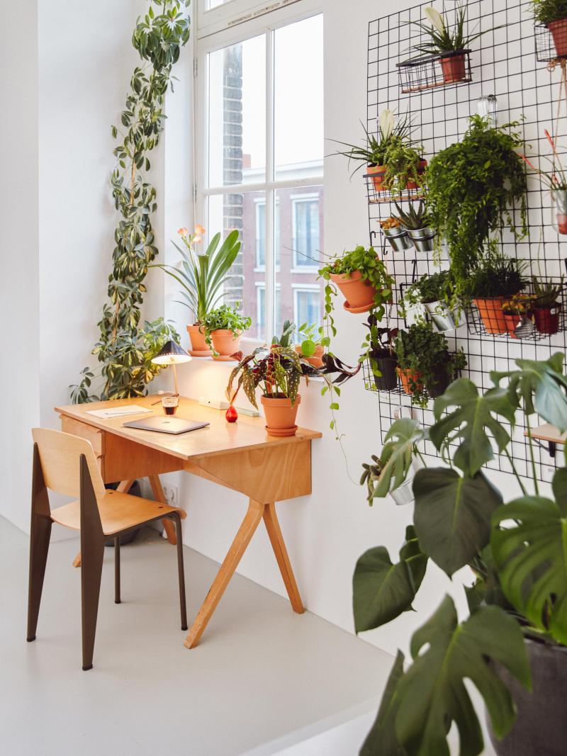 Tweede meting effecten Covid-19 op verkoop van bloemen en planten Tweede meting effecten Covid-19 op verkoop van bloemen en planten