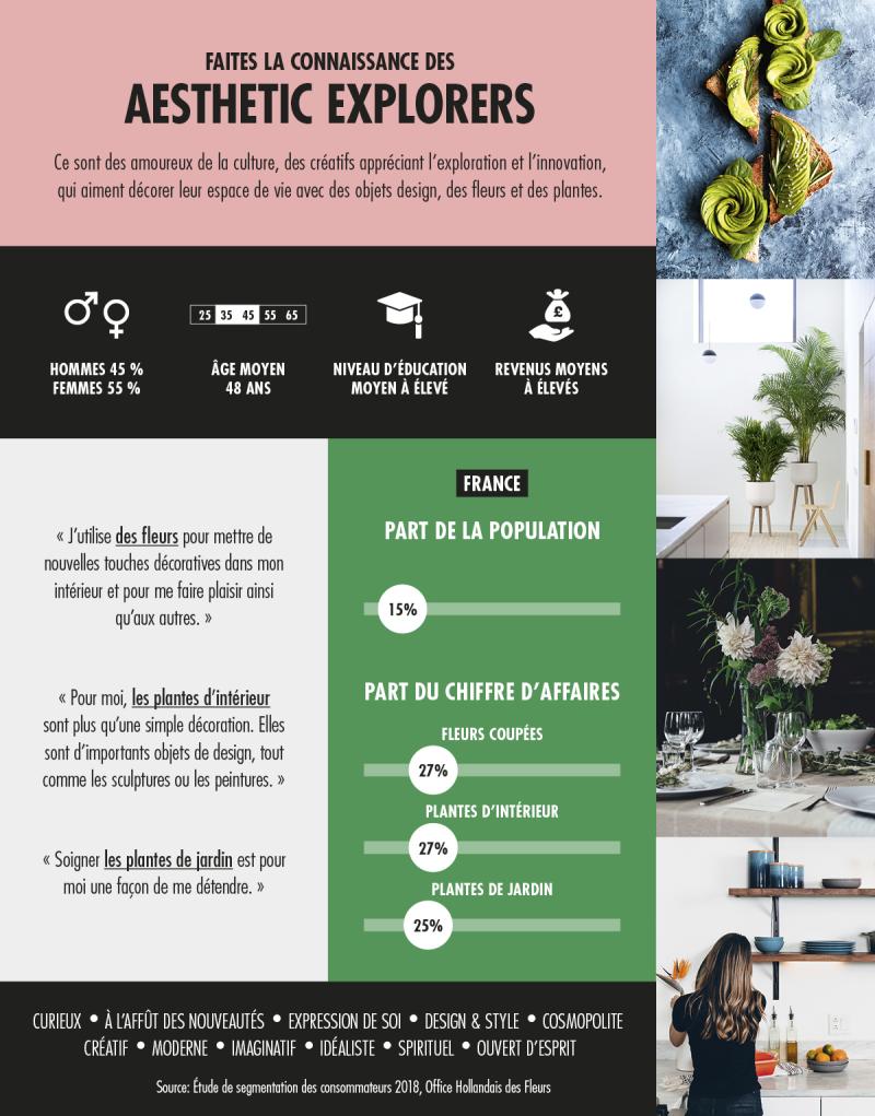 AESTHETIC EXPLORER FRANCE
