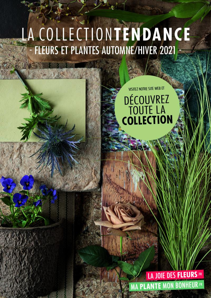 La Collection Tendance ah 2021 affiche La Collection Tendance ah 2021 affiche