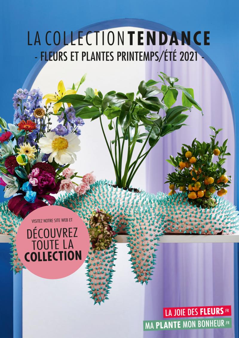 La Collection Tendance printemps/été 2021 | Affiche Collection Tendance