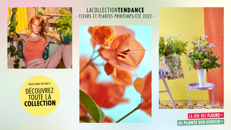 Accès au matériel PLV de La Collection Tendance printemps/été 2022