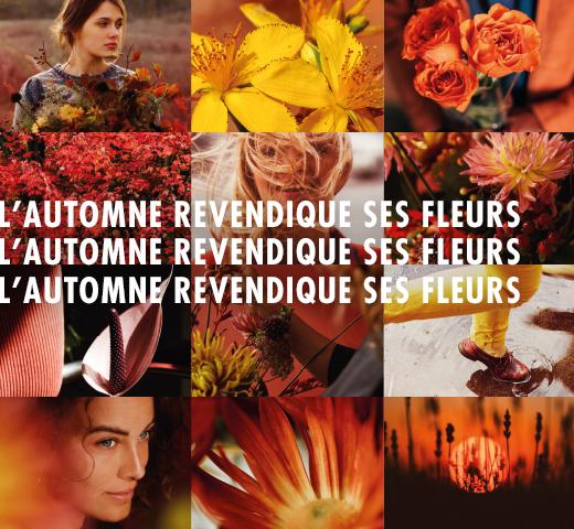 L'automne revendique ses fleurs