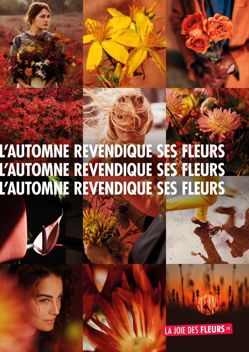 L'automne revendique ses fleurs