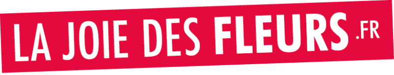 Lajoiedesfleurs.fr Lajoiedesfleurs.fr
