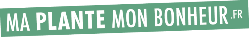 Maplantemonbonheur.fr Maplantemonbonheur.fr