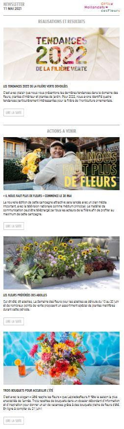 Newsletter France