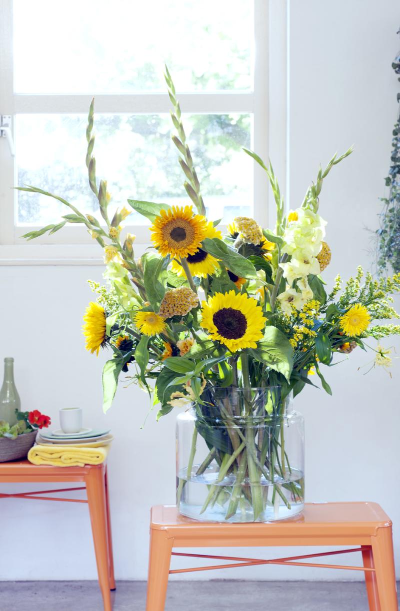 Sunflower  -Flower Agenda,  Funnyhowflowersdothat.co.uk