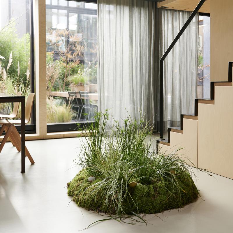 De Trend Collectie herfst/winter 2021 | Kamerplanten De Trend Collectie herfst/winter 2021 | Kamerplanten