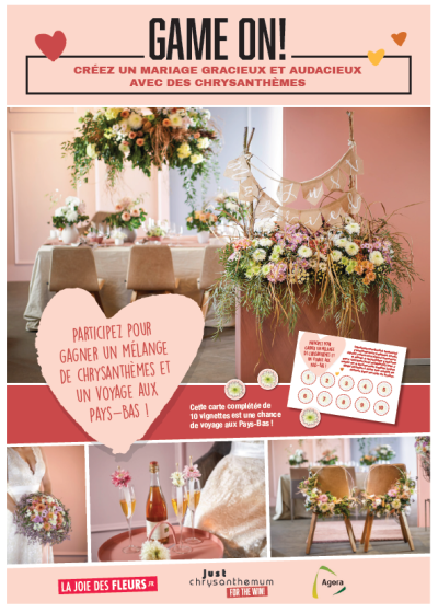 La promotion du chrysanthème cible le marché du mariage en France La promotion du chrysanthème cible le marché du mariage en France
