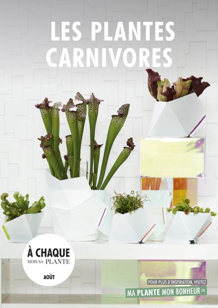 A chaque mois sa plante, août - les Plantes carnivores