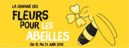 Fleurs pour les abeilles