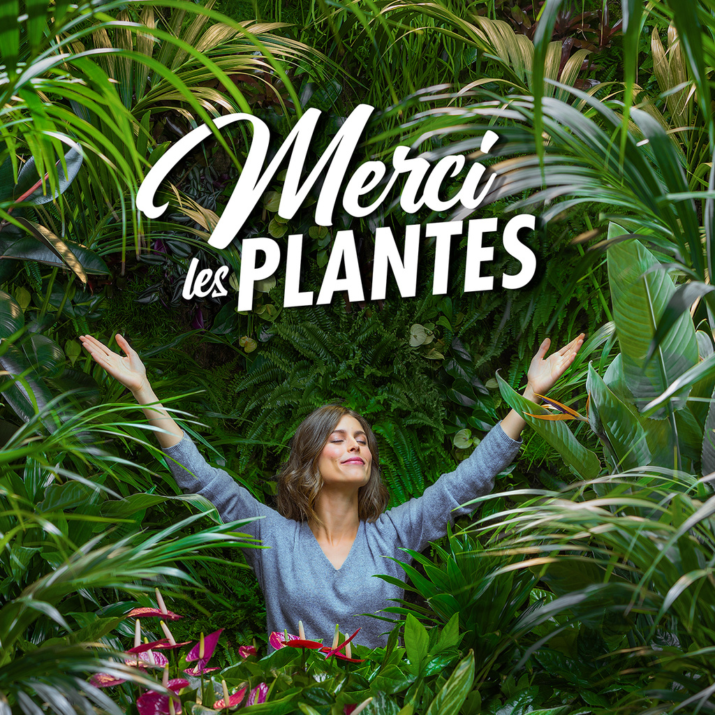 Merci les plantes